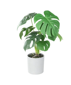 Искусственное растение в горшке TOBETSU Eglo Living 428017