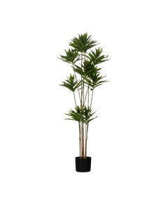 Искусственное растение в горшке YUBETSU Eglo Living 428023