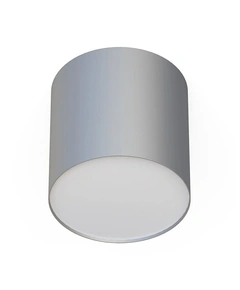 Точковий світильник Nowodvorski 6527 Point plexi GU10 1x10W IP20 Silver