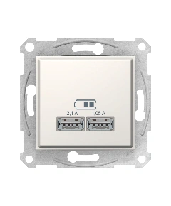 Розетка 2-а з USB виходами для зарядки SDN2710223, колір слонова кістка