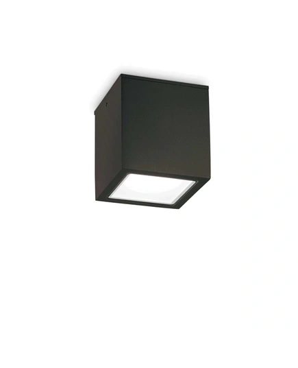 Ideal Lux TECHO 251530