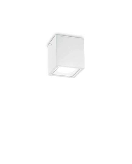 Ideal Lux TECHO 251561