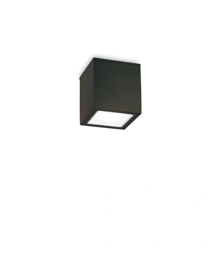 Ideal Lux TECHO 251578