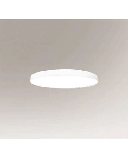 Потолочный светильник Shilo NUNGO 6001