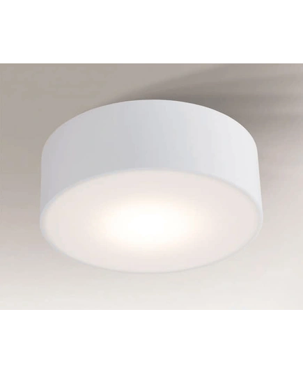 Потолочный светильник Shilo ZAMA 8409