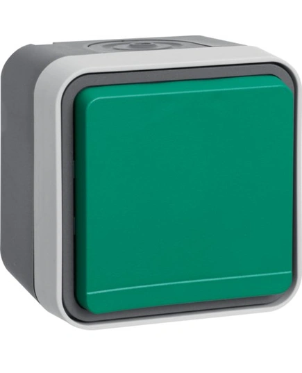 Розетка із з/к із зеленою кришкою IP55, сірий, 16А/250В W.1