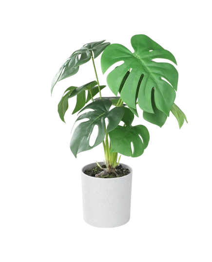 Штучна рослина в горщику TOBETSU Eglo Living 428017