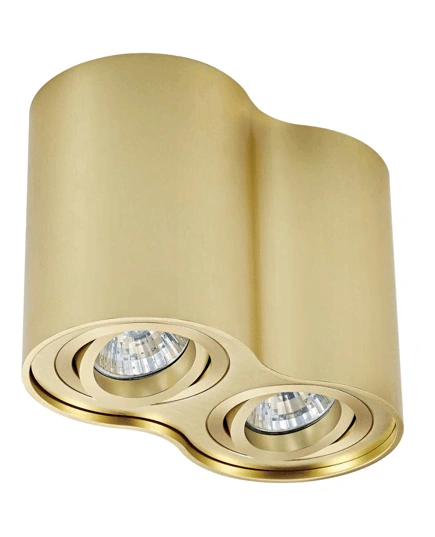 Точковий світильник Zuma Line RONDOO SL2 SPOT 50407-GD gold