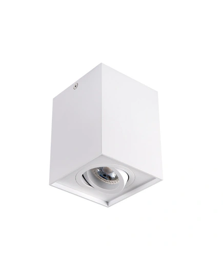 Накладной светильник Kanlux GORD DLP 50-W (25470)