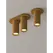 Спот Spot 2S-Ocher brown-RAL8001