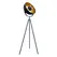 Торшер ZumaLine ANTENNE II TS-130603F-BKGO