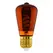 Eglo Bulb lightbulb E27 110199