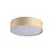 Стельовий світильник Searchlight DRUM 23298-2CP