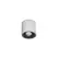 Вуличний світильник Ideal Lux 122663 GUN PL1 Bianco