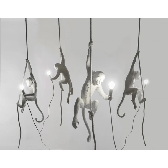 Підвісні люстри The Monkey