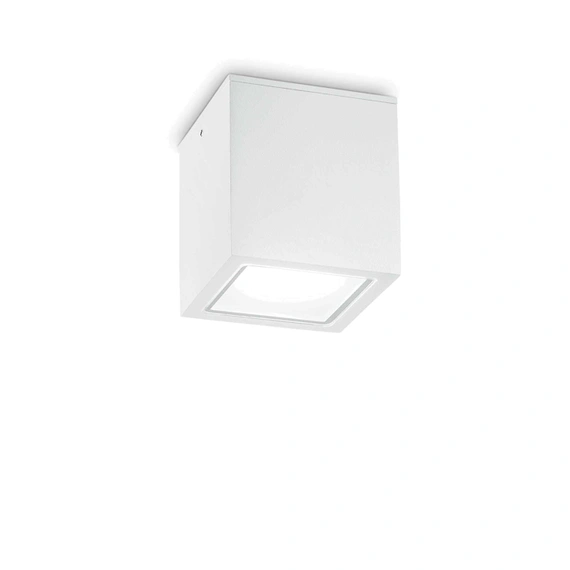 Ideal Lux TECHO 251523