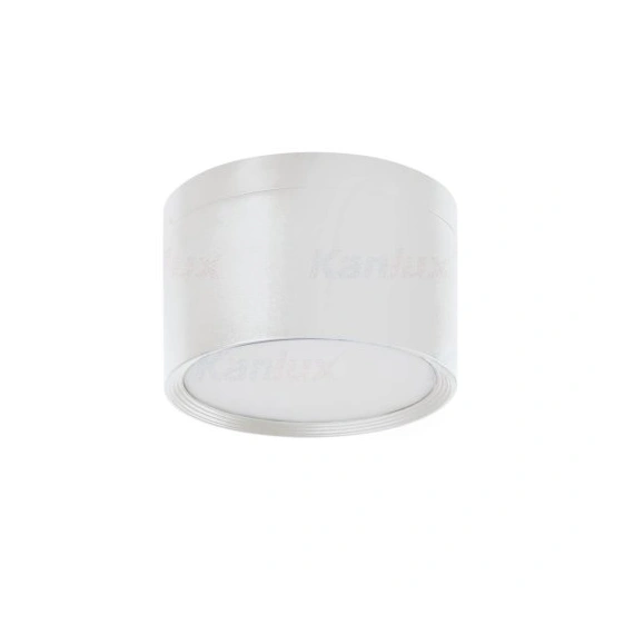 Накладний точковий світильник Kanlux TIBERI PRO NT30W-940W (35678)