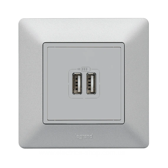 Розетка 2-ая USB для зарядки, Valena Life, цвет алюминий