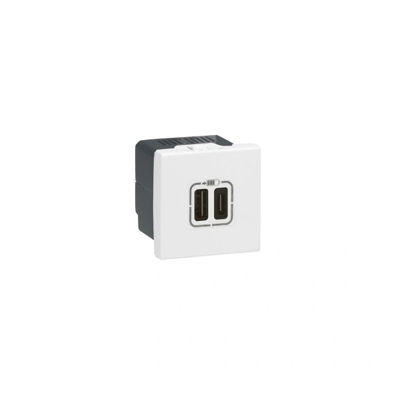 Розетка USB-Cх2 3,0A 15Вт 2 модулі MOSAIC 77590 колір білий