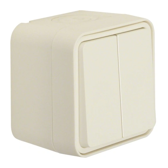 Вимикач 2-клавішний IP55, полярно-білий, 10АX/250В W.1