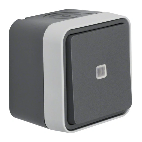 Перемикач контрольний з підсвічуванням IP55, сірий, 10АX/250В W.1