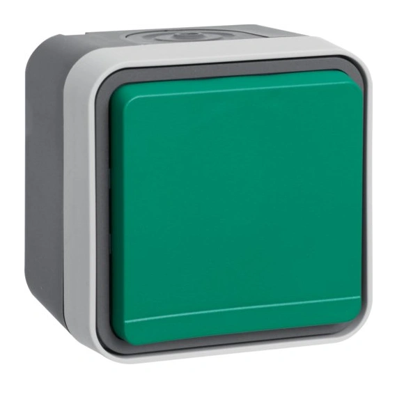 Розетка ж/к с зеленой крышкой IP55, серый, 16А/250В W.1