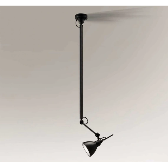 Люстра Shilo DAISEN 5625