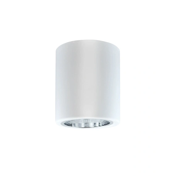 Точковий світильник Goldlux 307170 Jupiter E27 1x20W IP20 WH