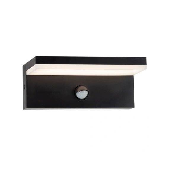 Вуличний світильник Goldlux 324054 Tesa Led 1x10W 4000K 1100Lm IP54 BK