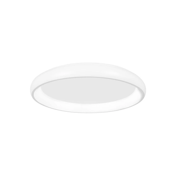 Стельовий світильник ALBI Nova Luce 8105607 D
