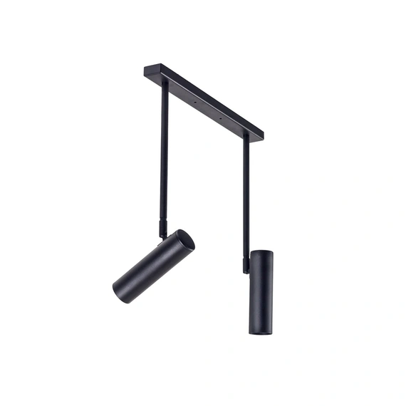 Світильник стельовий (спот) Pelikan С180-2 Black Atmolight