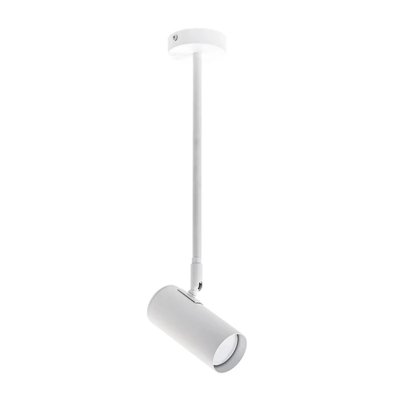 Світильник стельовий (спот) Pelikan GU10 С120 White Atmolight