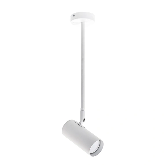 Світильник стельовий (спот) Pelikan GU10 С120 White Atmolight