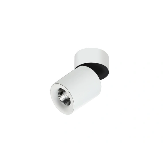 Точковий світильник AZzardo SIENA 10 AZ2211 (SH60400010WH)