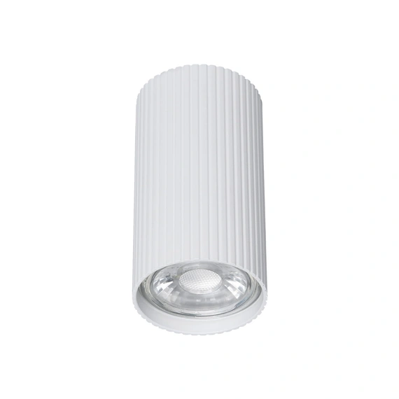 Спот TK-Lighting 10023 TUNE WHITE S