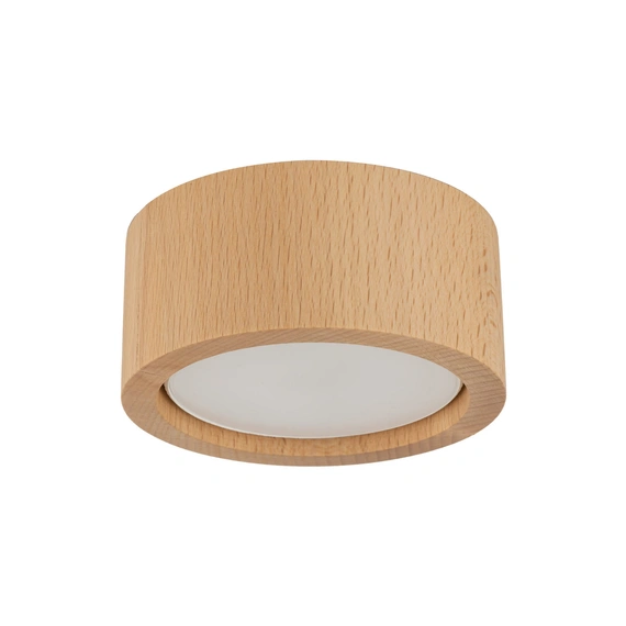 Точковий світильник TK-Lighting EVE WOOD BUK 10123