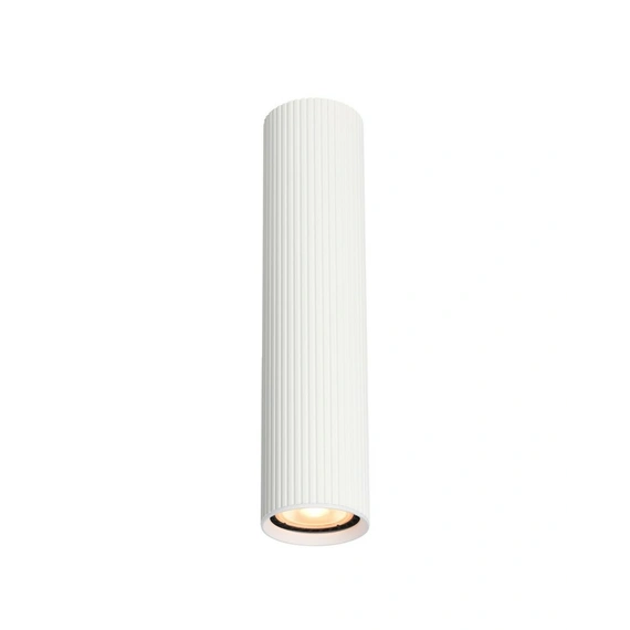 Точковий світильник Italux CLN-83920-L-WH Rilok GU10 1x10W IP20 Wh