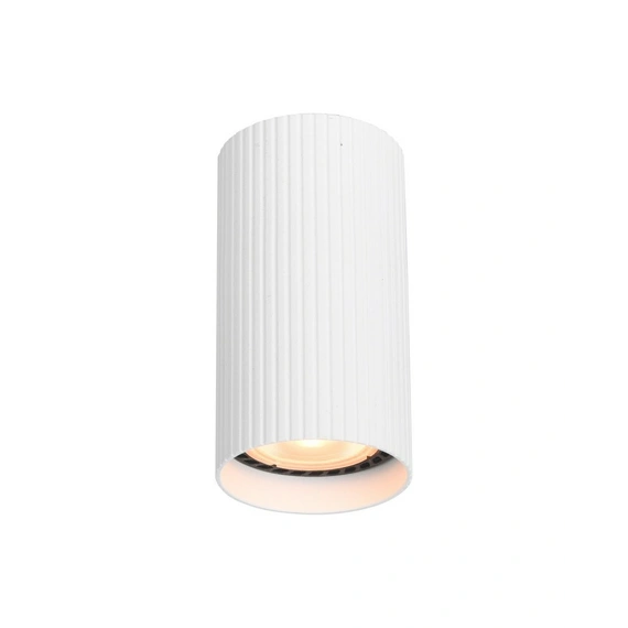 Точковий світильник Italux CLN-83920-S-WH Rilok GU10 1x10W IP20 Wh