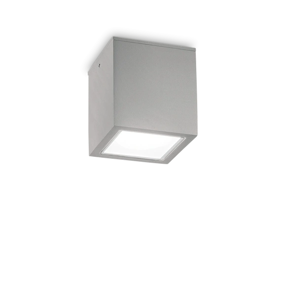 Вуличний стельовий світильник TECHO 15cm GY Ideal Lux 326887