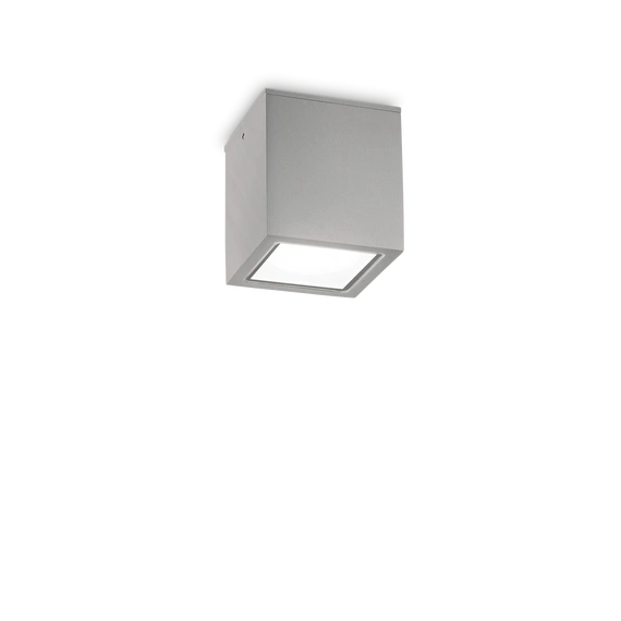 Вуличний стельовий світильник TECHO 9cm GY Ideal Lux 326894