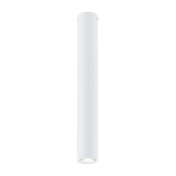 Стельовий світильник EMIBIG Lighting TECNO 1317/1L