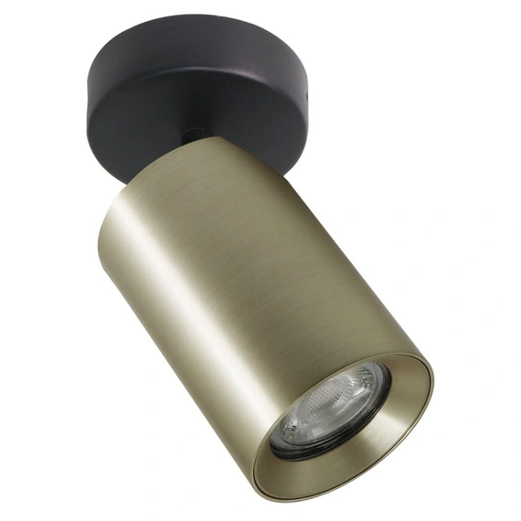 Спот TORE ZumaLine TLS006-GLD