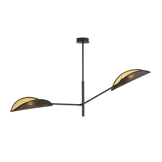 Люстра EMIBIG Lighting VENE 1158/2