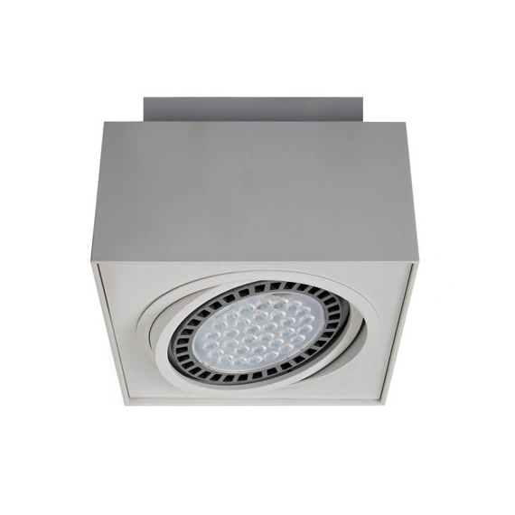 Точечный светильник Zuma Line BOXY CL1 SPOT 20074-WH