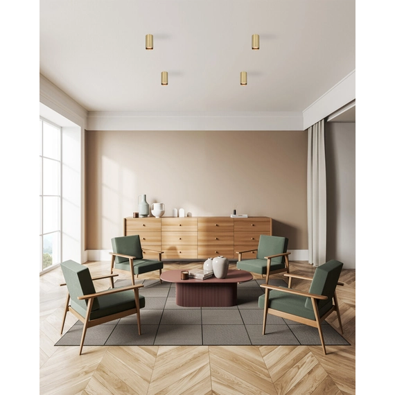 Точковий світильник Italux CLN-48930-S-GD Lopus GU10 1x10W IP20 Gold, изображение 2