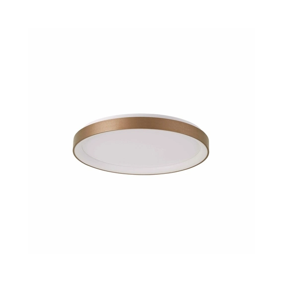 Стельовий світильник Italux PLF-53675-058RC-GD-3KS4K-TRDIMM Vico Led 1x48W 3000K/4000K 3900Lm IP20, зображення 2