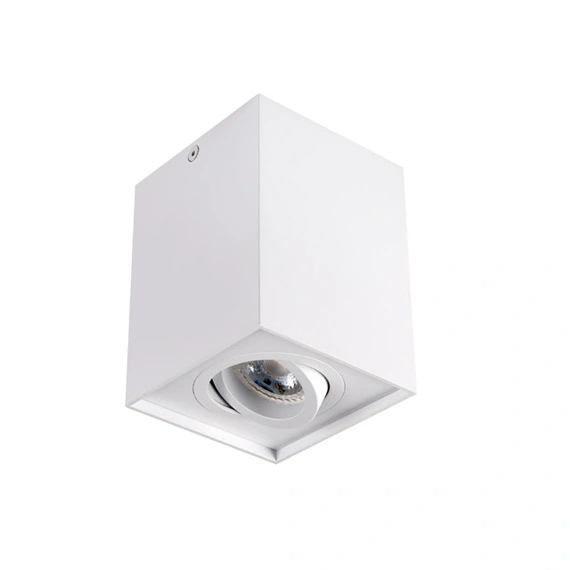 Накладной светильник Kanlux GORD DLP 50-W (25470)