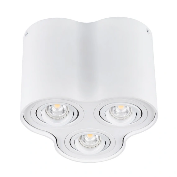Точечный светильник Kanlux BORD DLP-350-W 25800