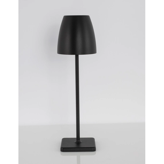 Nova Luce COLT 9121912, изображение 2