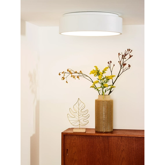 Стельовий світильник Lucide TALOWE LED 46100/32/31, изображение 2